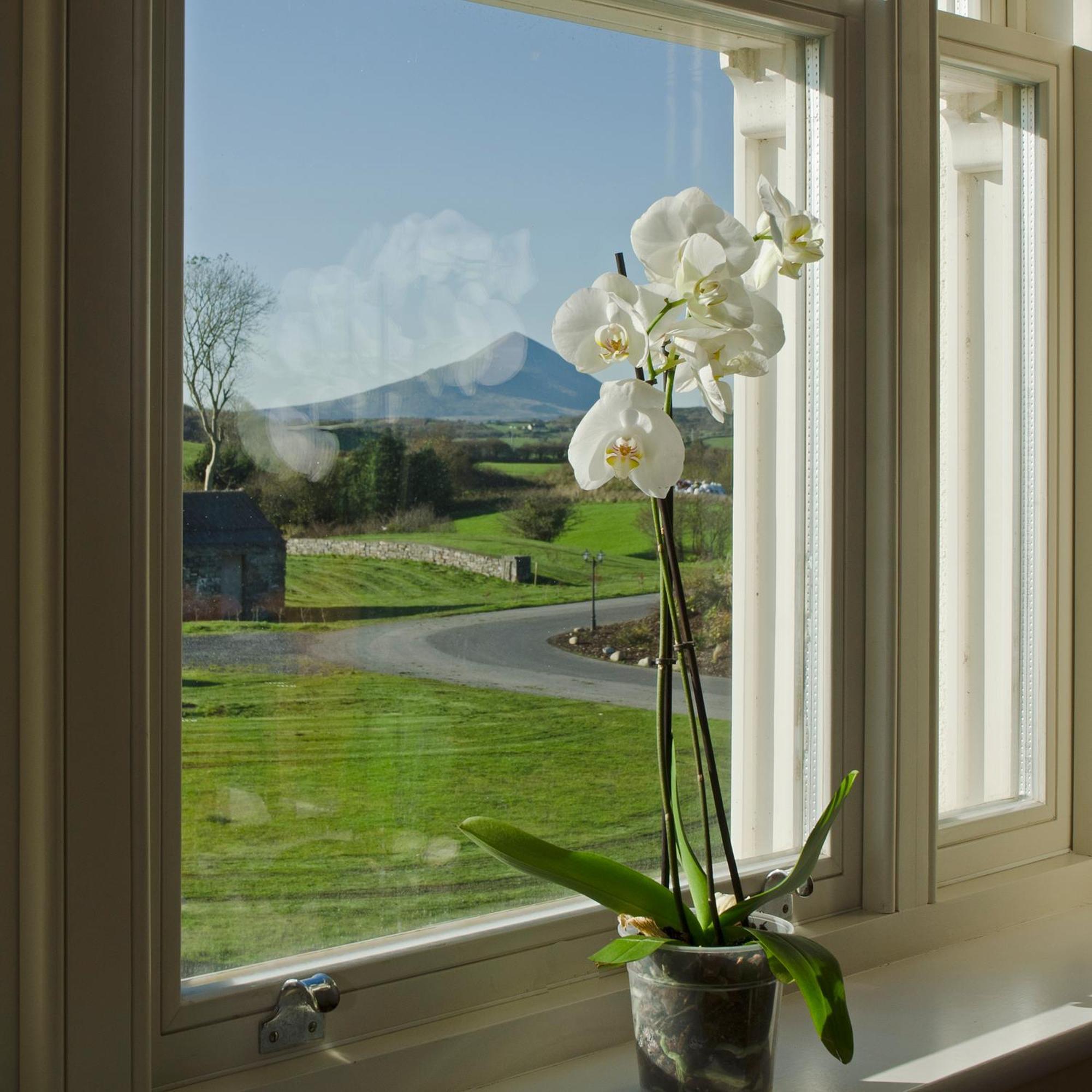 Westport Country Lodge Hotel Buitenkant foto